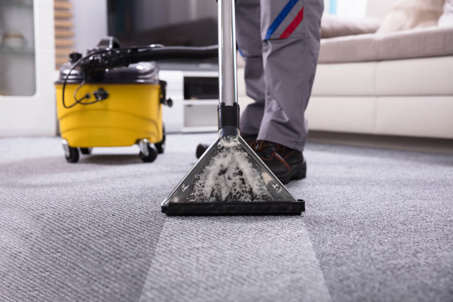 Carpet Cleaning Services in NJ